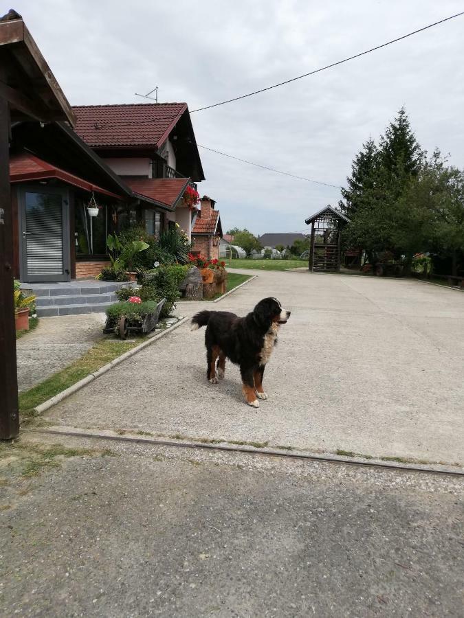 T.S.G. Simanovic Hotel Klinca Sela Buitenkant foto
